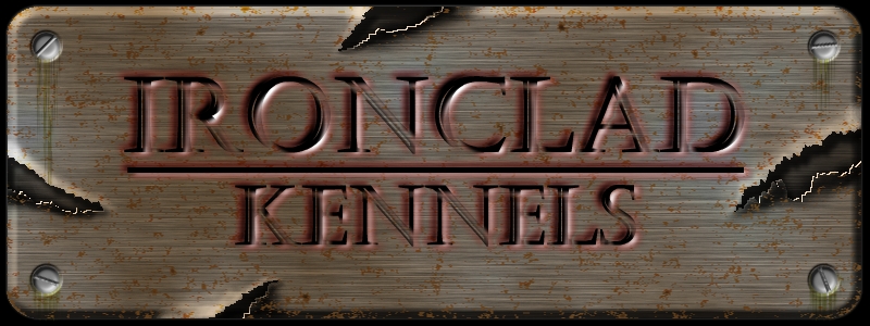Welcome to Ironclad Kennels - Home of the Best American Pitbull Terriors Welcome to Ironclad Kennels - Home of the Best American Pitbull Terriors